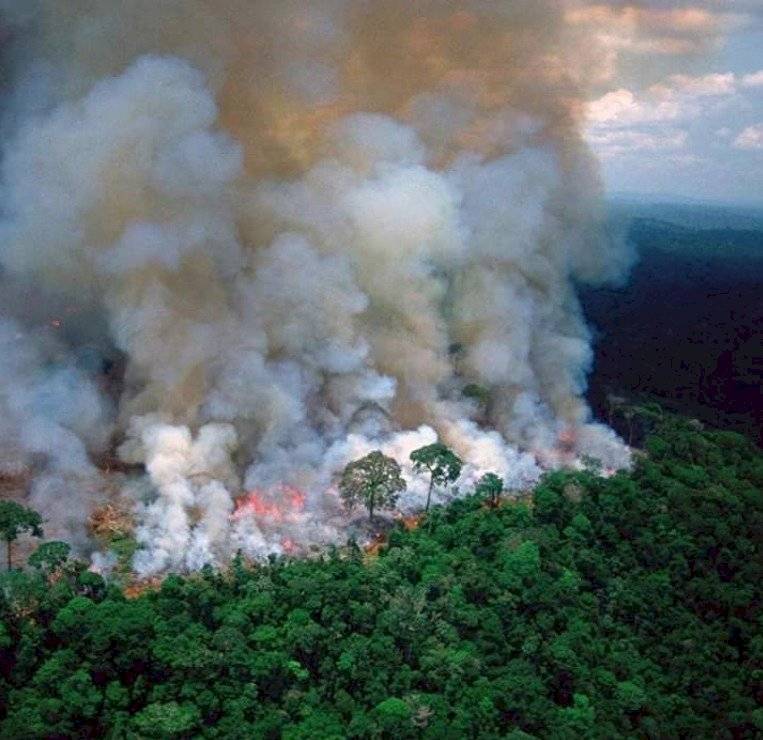 Incendio en Amazonas