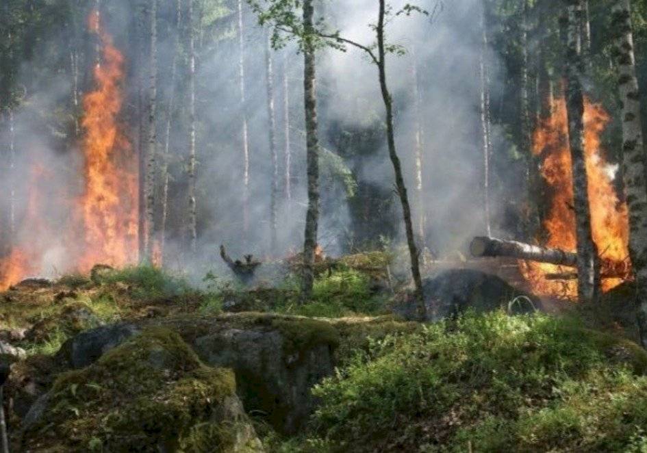 Incendio en Amazonas