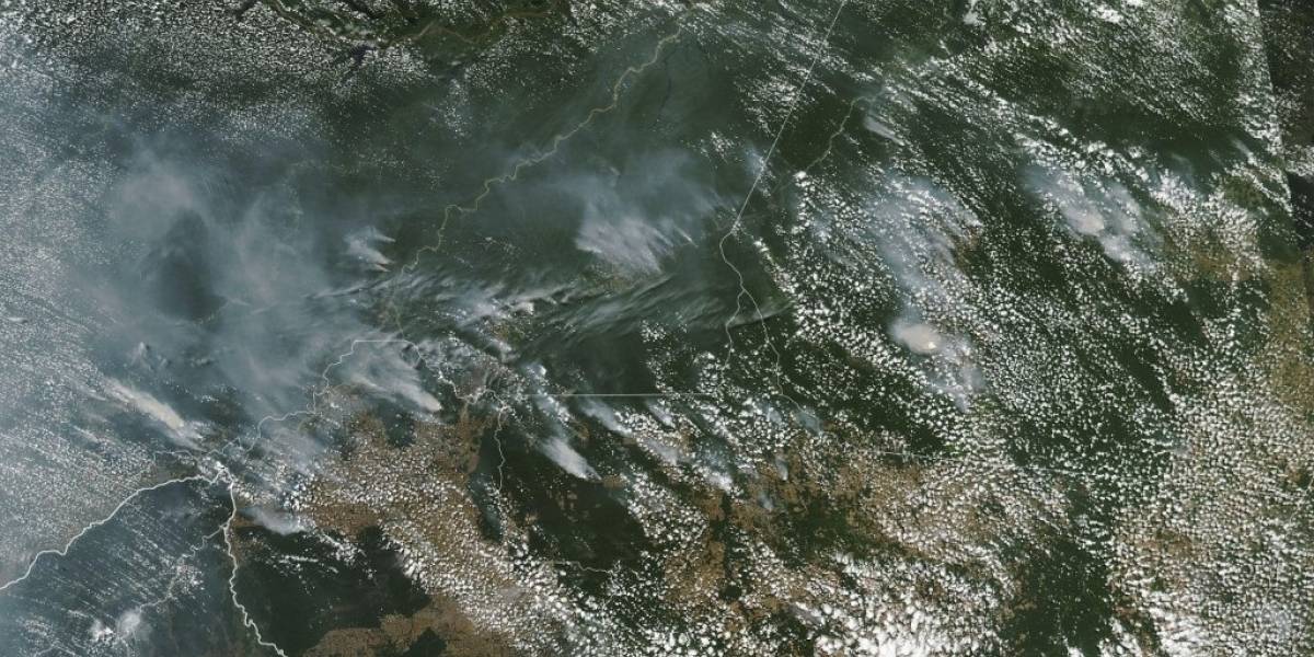 Amazonas: ¿Cual es la verdadera causa de los incendios?