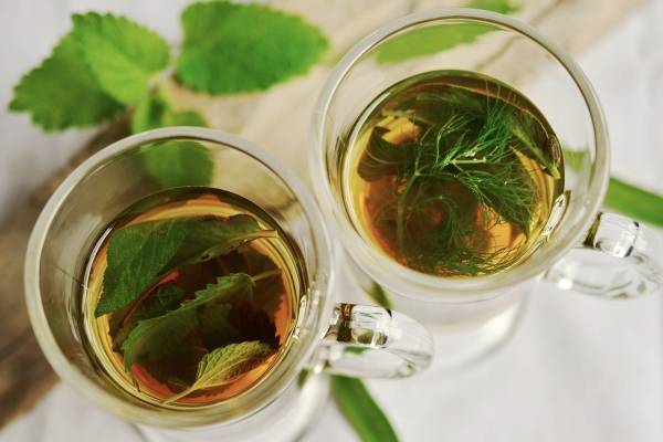 Plantas medicinales peruanas para bajar de peso Plantas medicinales peruanas para bajar de peso