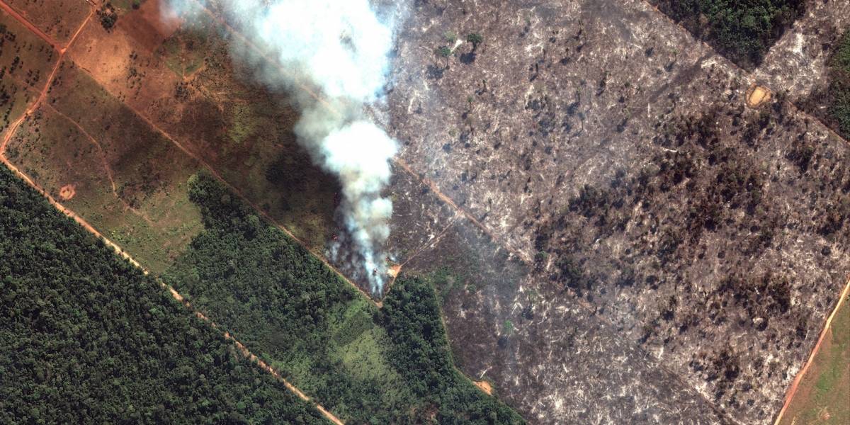 ¿Cuál es la importancia del Amazonas? 5 claves del paraíso en llamas