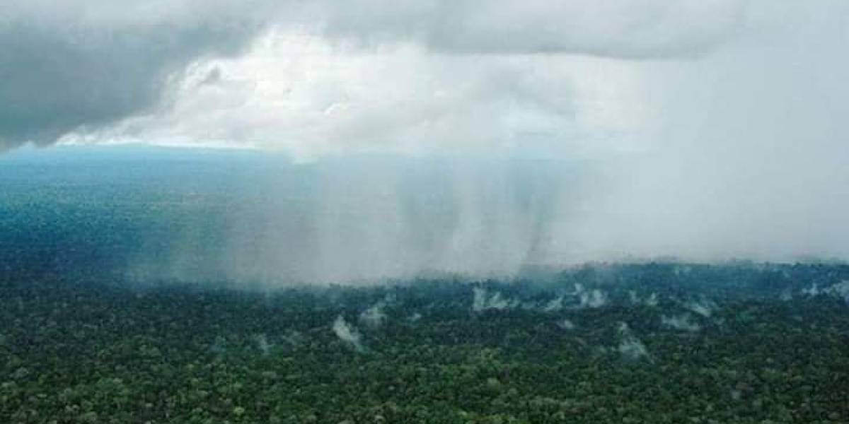 Una tendencia falsa: Difunden fake news sobre lluvias en el Amazonas