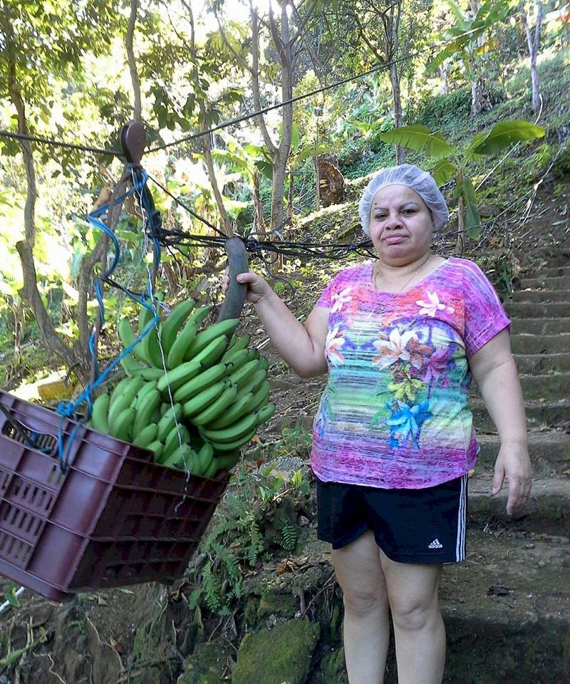 Viña Hernández