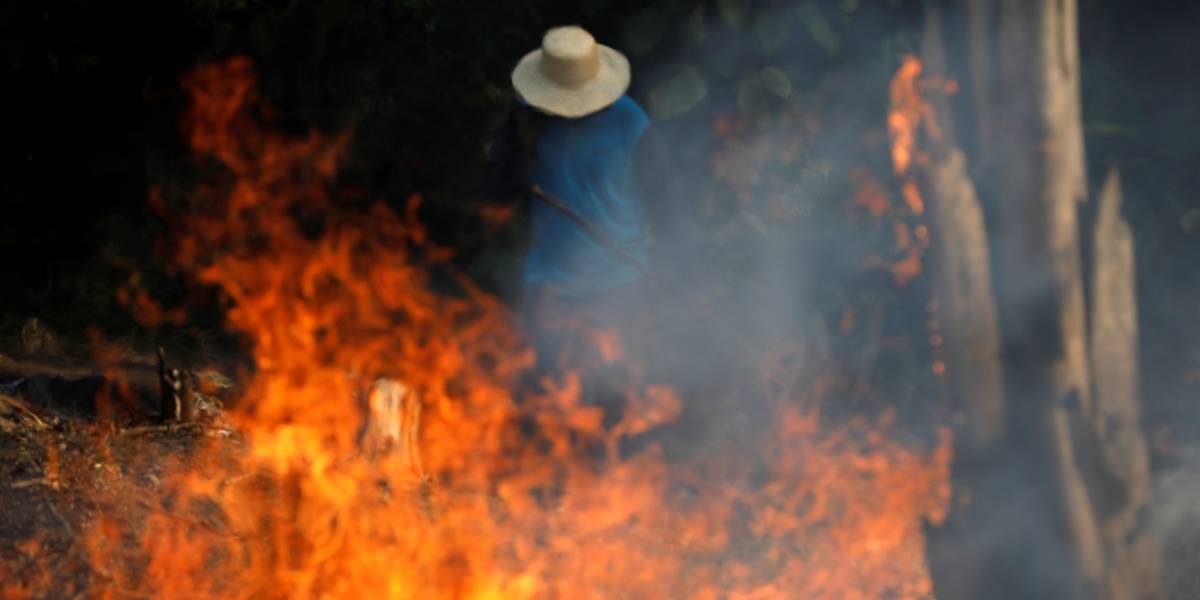 Resultado de imagem para Queimadas na Amazonia
