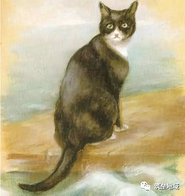 Gato Nazi