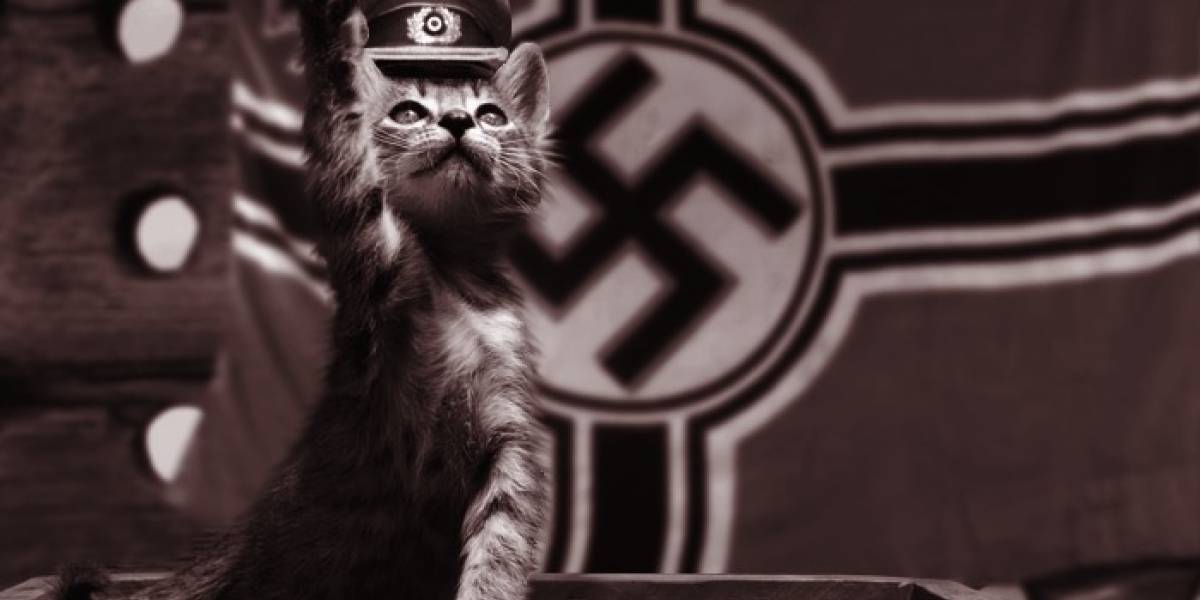 Conoce al Gato Nazi de la Segunda Guerra Mundial que no podía morir