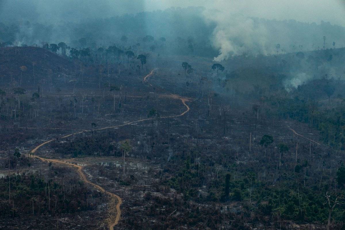 amazonia