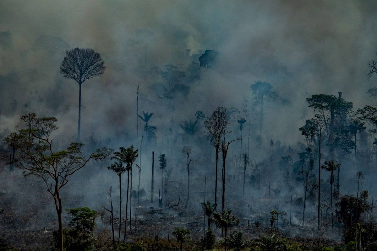amazonia