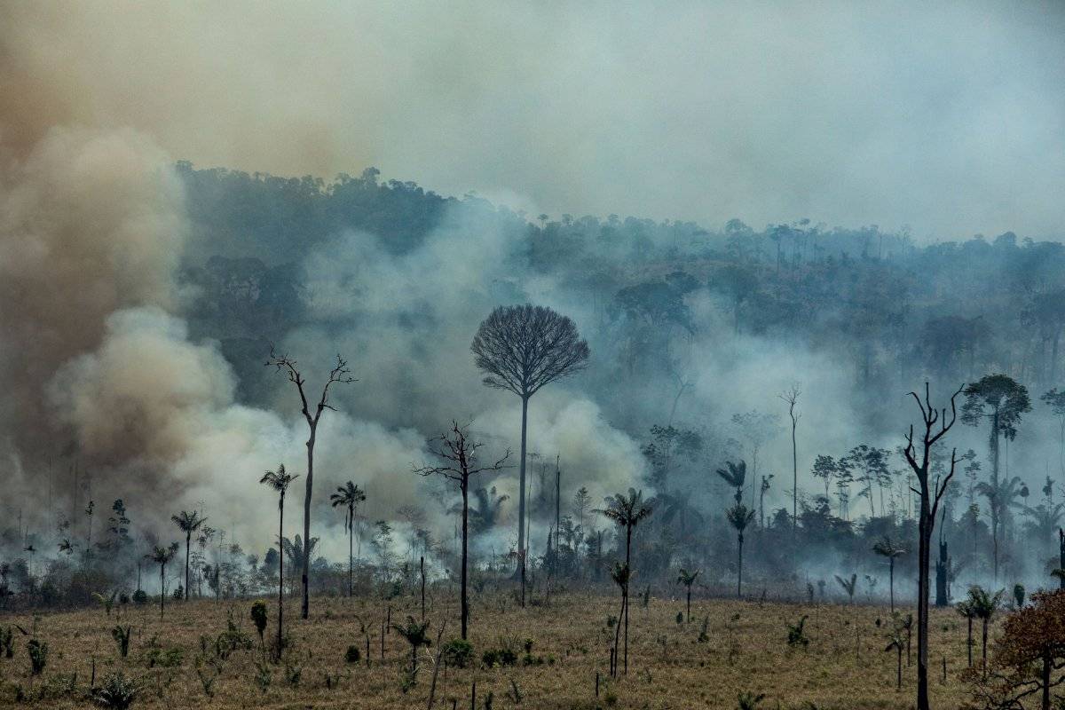 amazonia