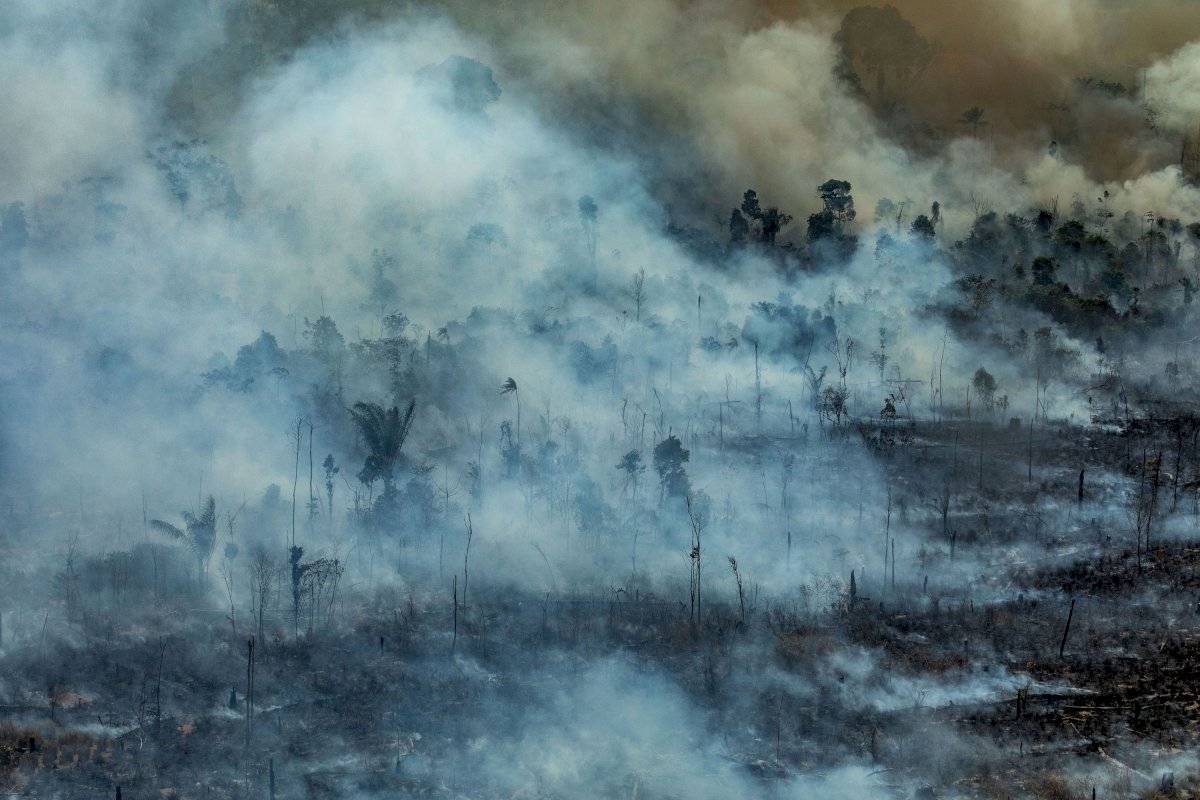 amazonia