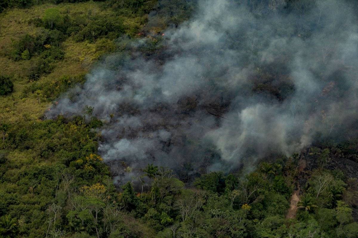 amazonia