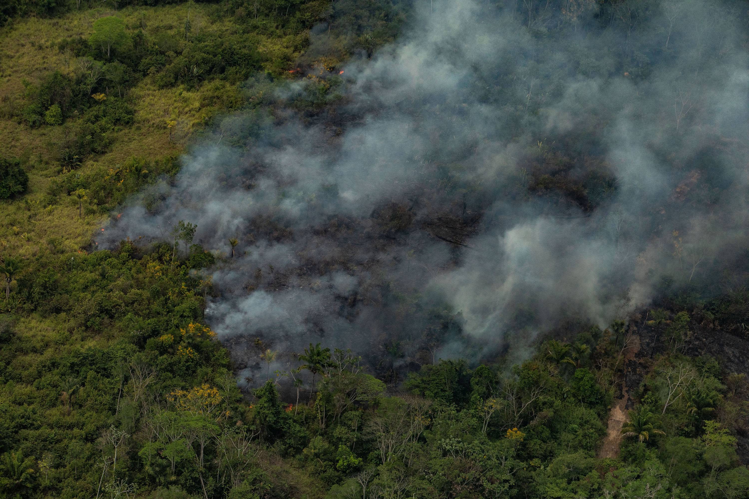 amazonia