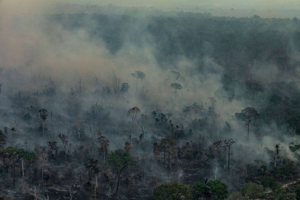 amazonia