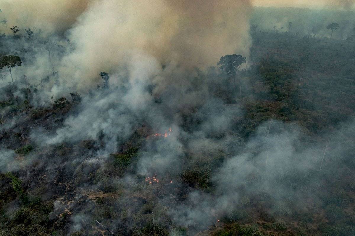 amazonia