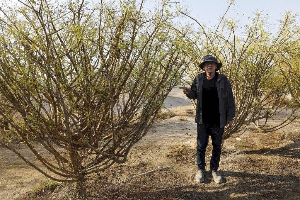 Granjero israelí Guy Erlich