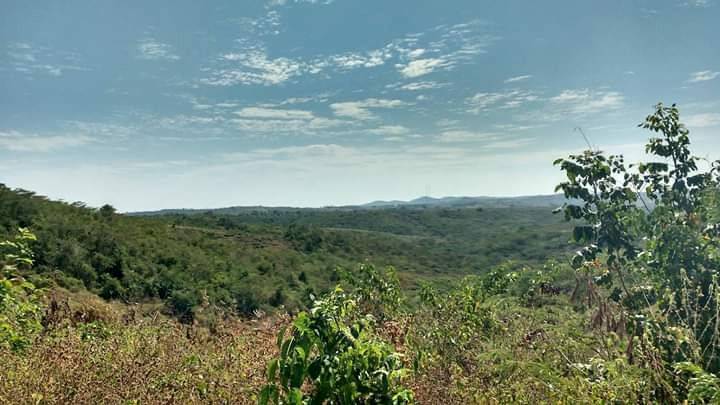 Montes de María