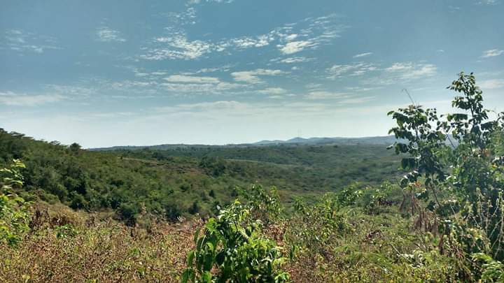 Montes de María