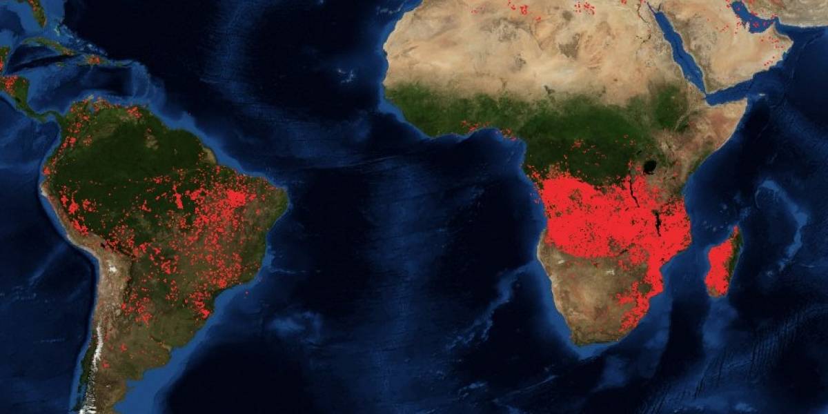 Arde el segundo pulmón verde del mundo: la impactante imagen satelital que muestra los incendios en África