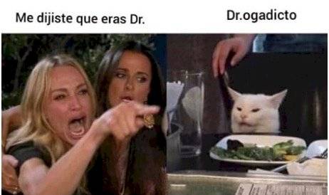 Meme de la mujer que le grita a un gato
