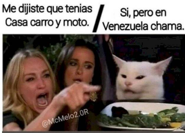 Meme de la mujer que le grita a un gato