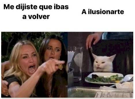 Meme de la mujer que le grita a un gato