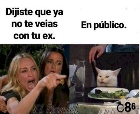 Meme de la mujer que le grita a un gato