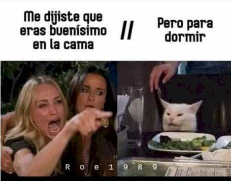 Meme de la mujer que le grita a un gato