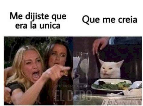 Meme de la mujer que le grita a un gato