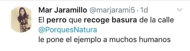Tweet