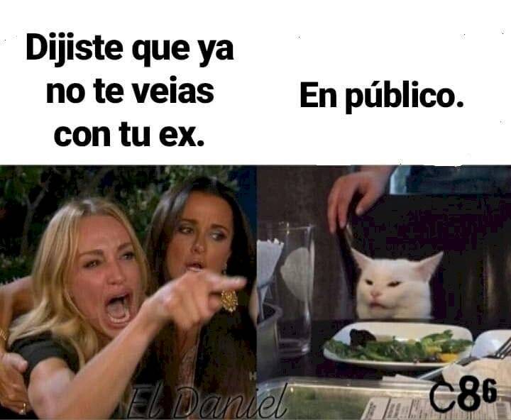 Meme del gato