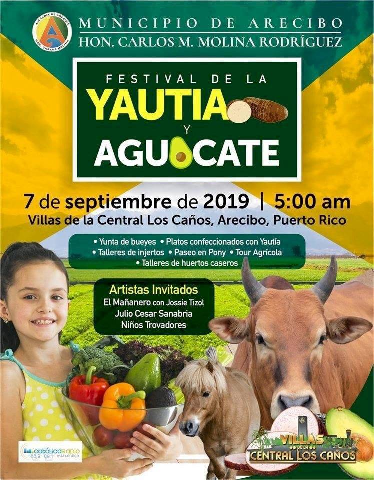 yautia y aguacate