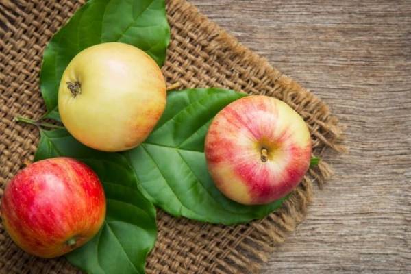 Colesterol como dieta en una seguir baja
