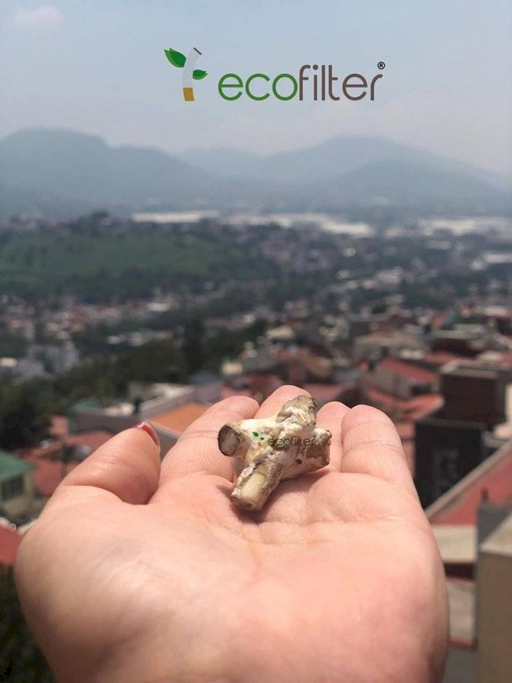 Eco Filter