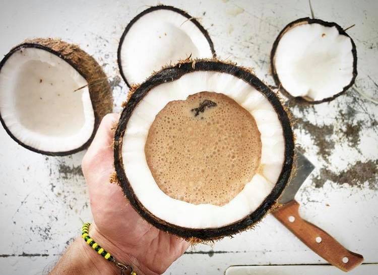 coco colada