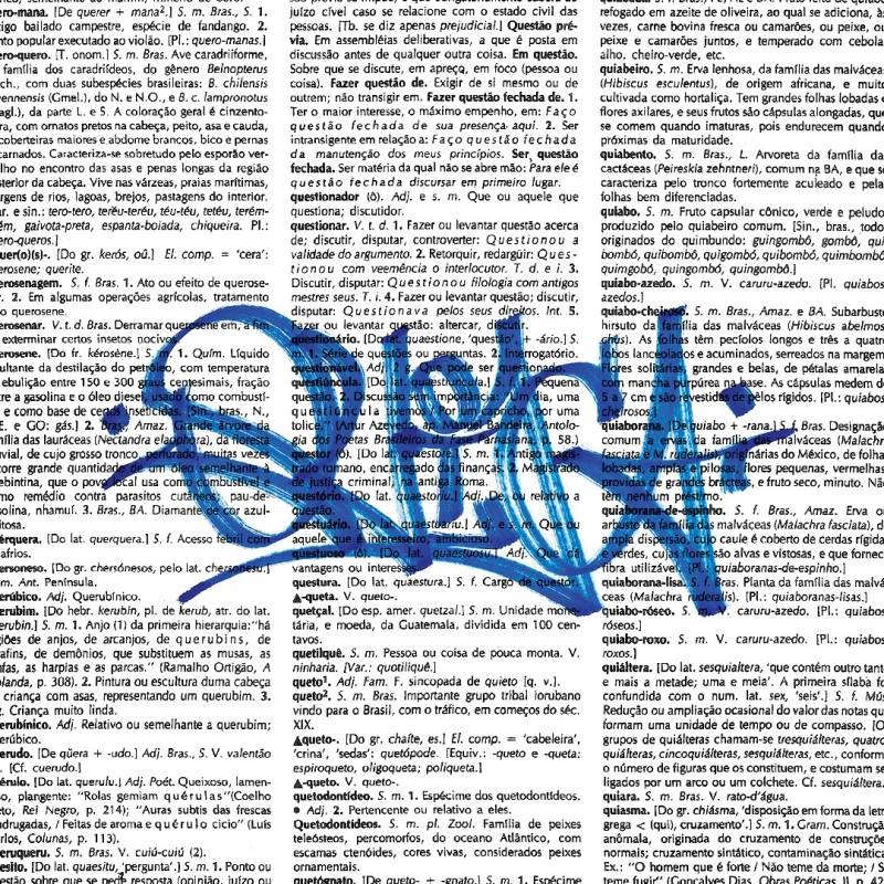 dicionário capão