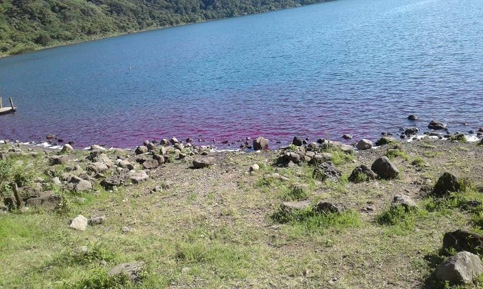 Laguna de Ipala se tiñe de rosado