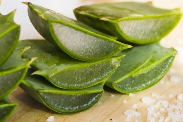 Beneficios del aloe vera en el cuero cabelludo