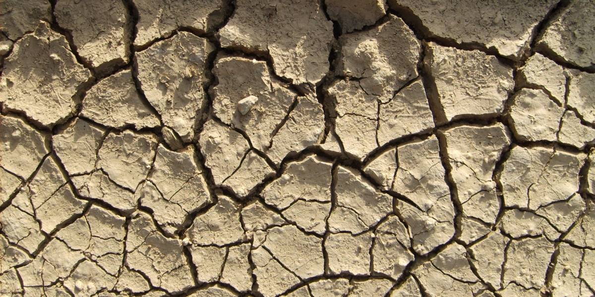 ONG anuncia que en 20 años más Chile vivirá una sequía tan severa como en África