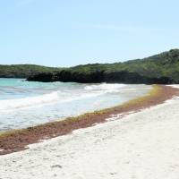 Playas se mantienen abiertas en la nueva orden ejecutiva