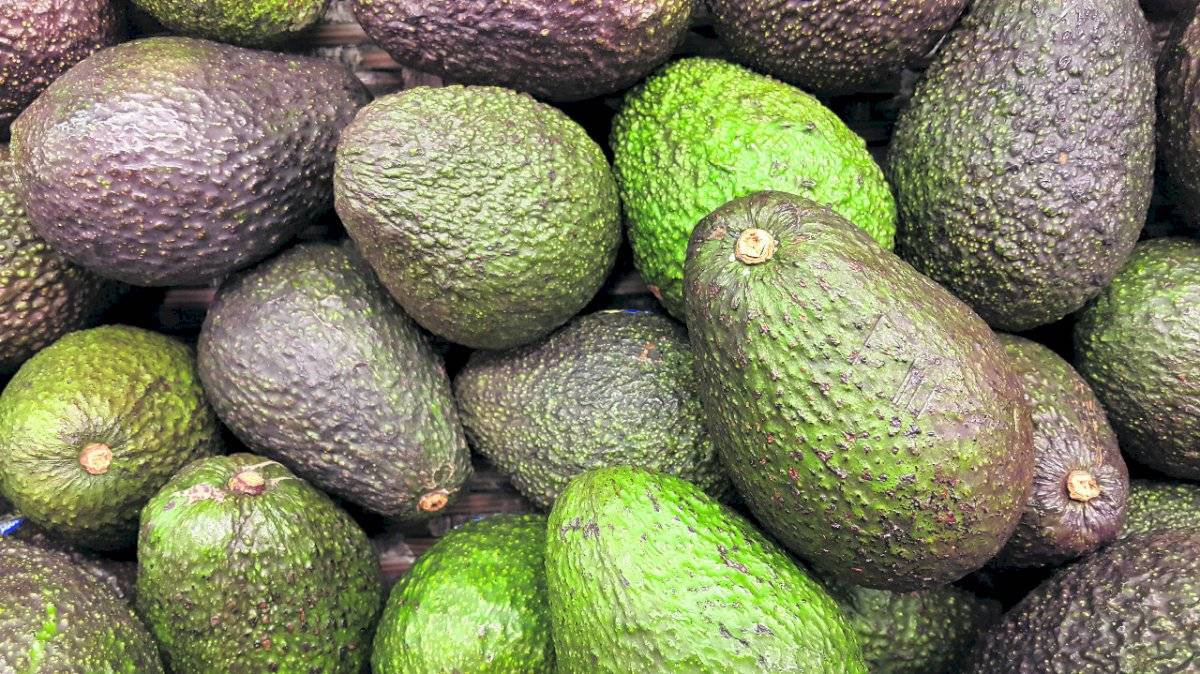 Superalimentos, aguacates