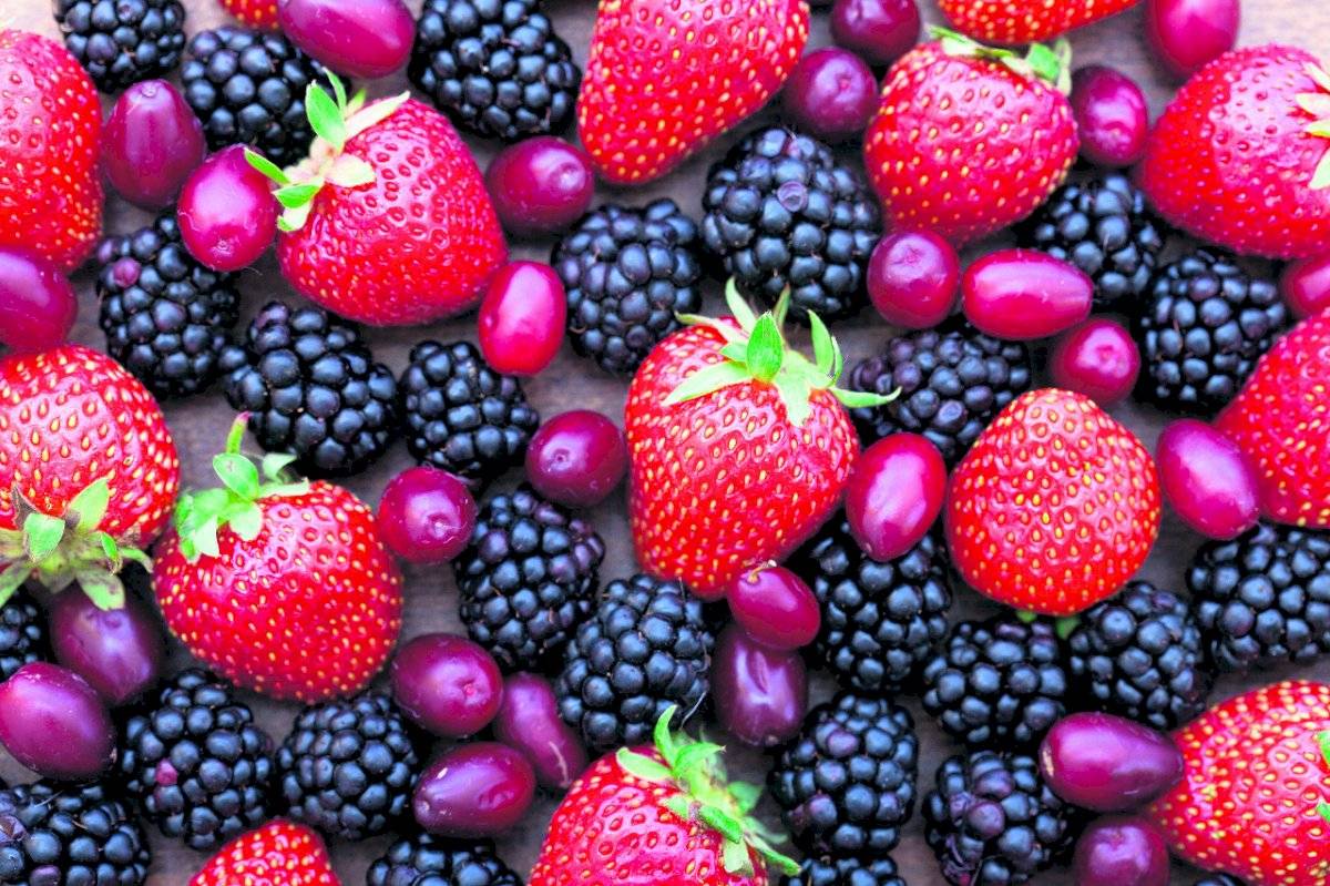 Superalimentos, frutos rojos