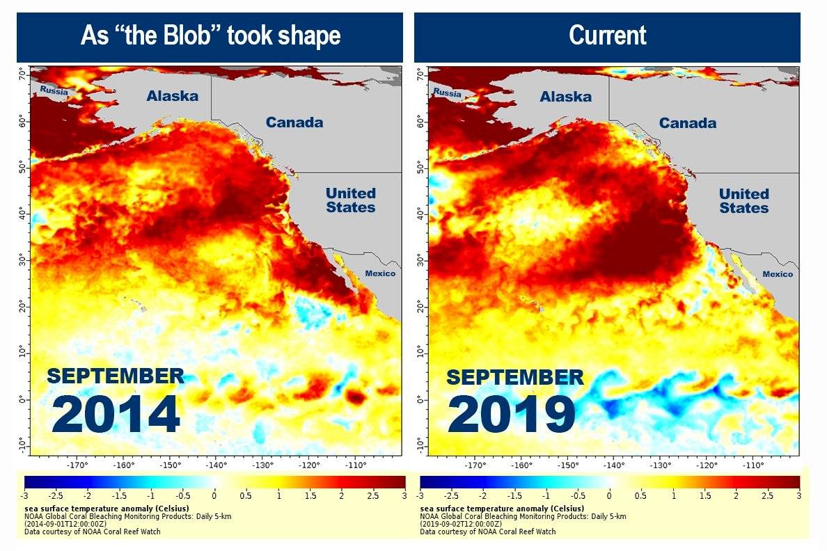 NOAA