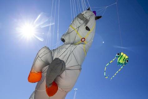 Enormes animales