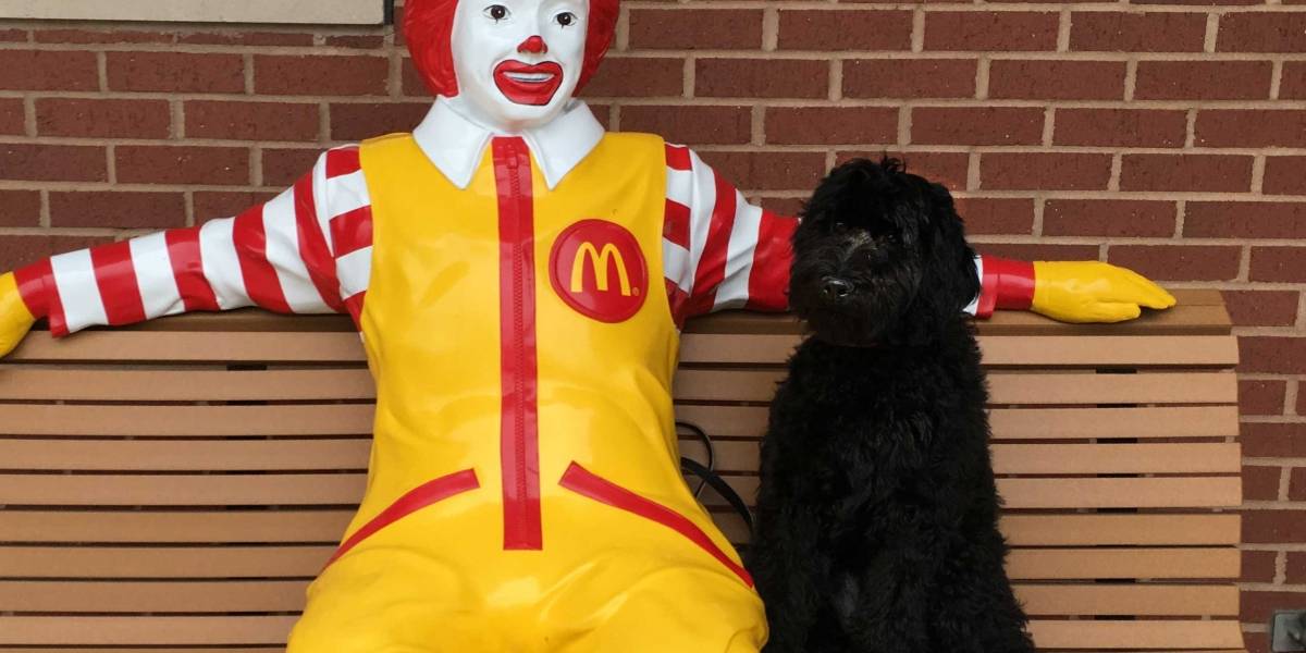McDonald's adquiere startup para desarrollar asistente de voz que automatice los pedidos