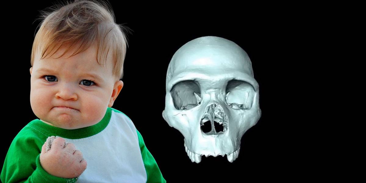 Científicos recrean cráneo del ancestro del Homo Sapiens en una computadora
