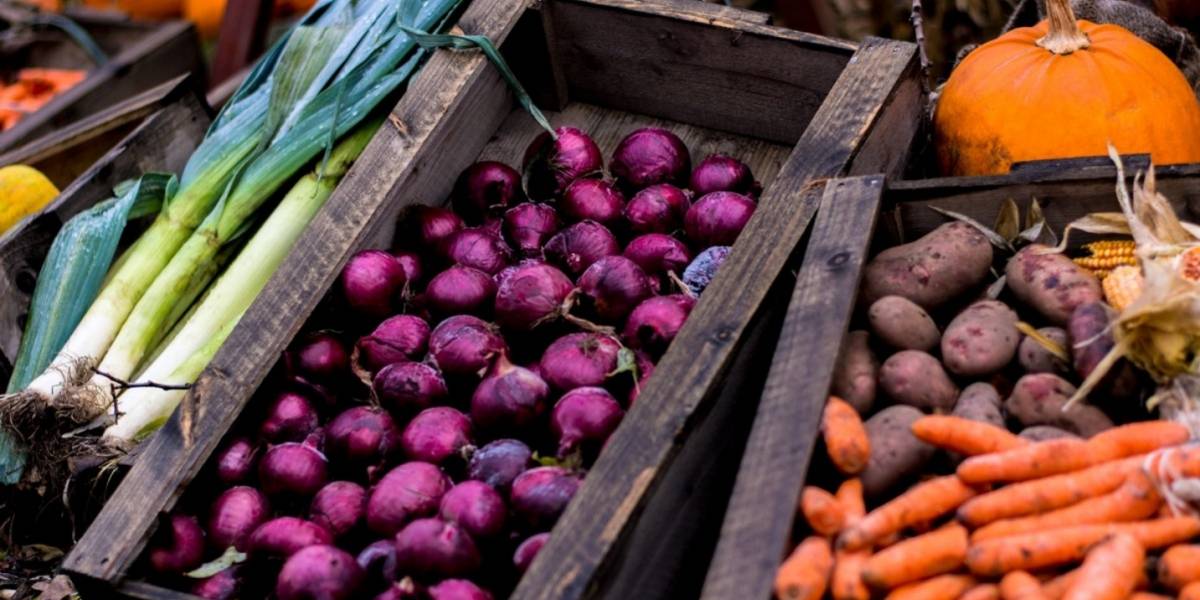 FAO encabeza campaña "Salvemos la comida" para disminuir en al menos un 10% gases de efecto invernadero