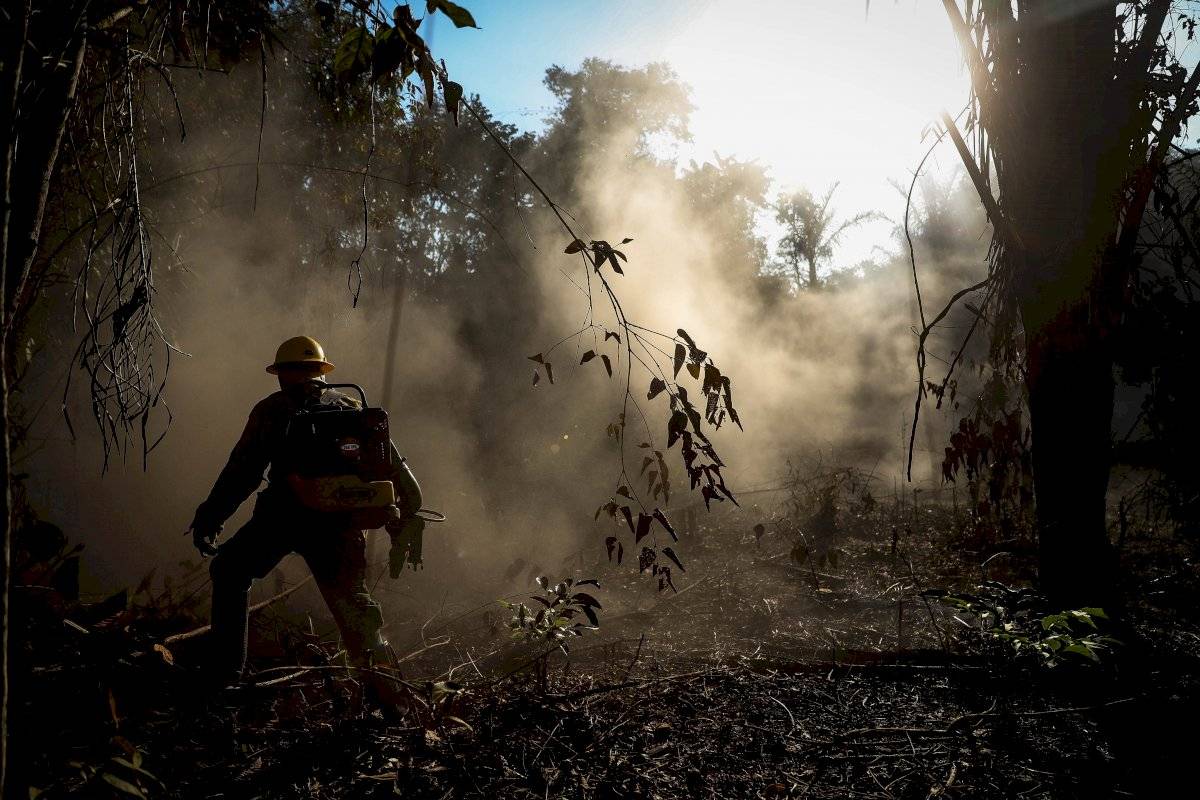 Las desgarradoras imágenes que dejaron los incendios en el amazonas