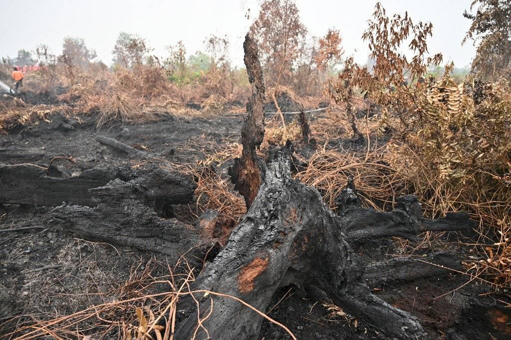 Incendios en Indonesia