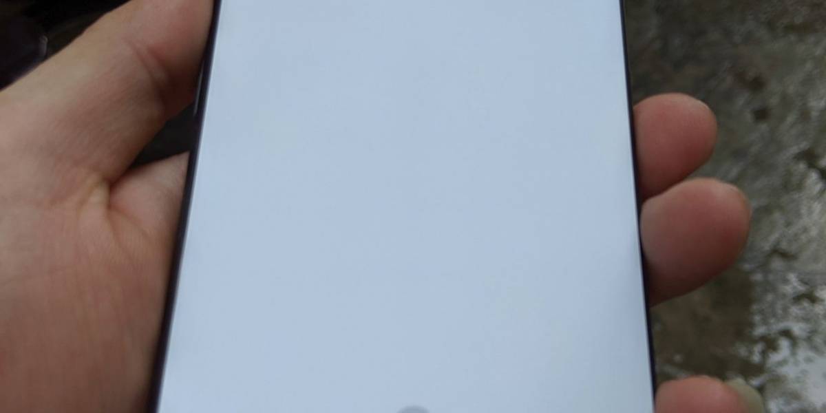 Filtran nuevas imágenes del Pixel 4XL: Nuevas especificaciones y así se ve el modelo blanco