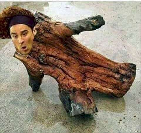 Memes Ochoa